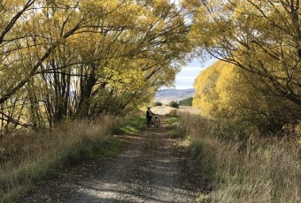 Tuatara Tours 