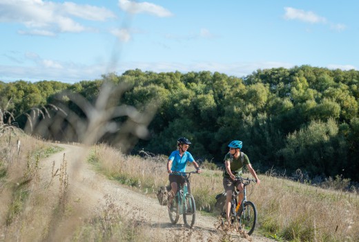 CTB 230323 OCRT Summer image cenral 120