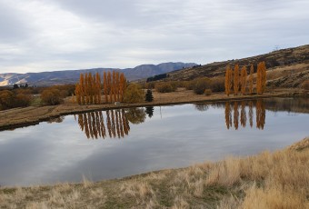 Ida Burn Dam