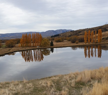 Ida Burn Dam