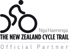 NZCT logo