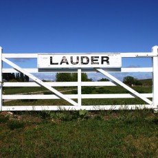 Lauder