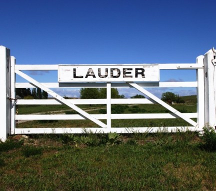 Lauder